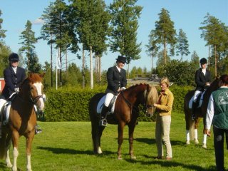 6-vuotiskasvattajakilpailu Ypäjä 2003. Ilmari ja Marjukka Manninen viidensiä.                              