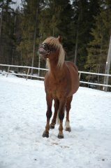ilmari4.jpg