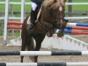 Ilmari ja Piritta 90 + 100 cm uusinta 0 vp. alueluokka 2009