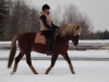 Annika ja Ilmari joulukuu 2010. Kuva Hanna Aho